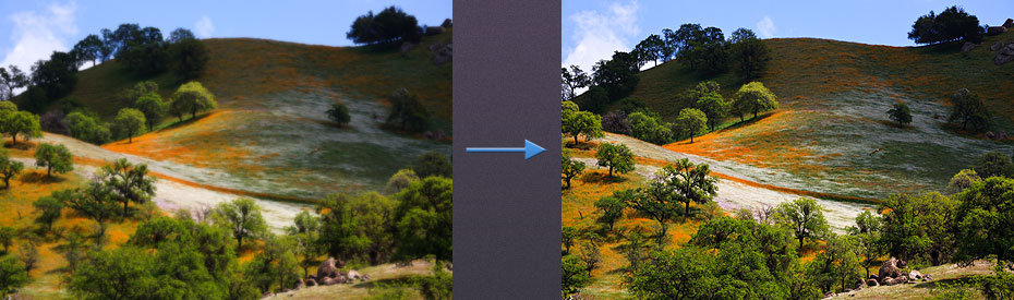 Natural Vs Post Processing Photography Natural Vs Post Processing Photography