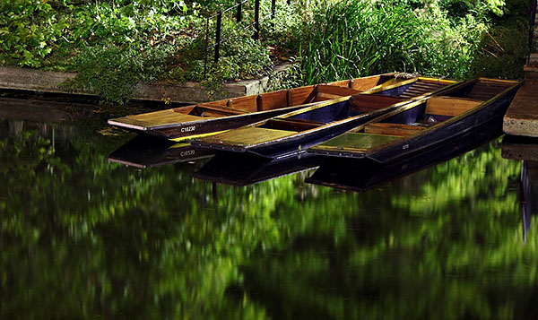 punts lining the River Cam within Clare College at Cambridge University in England