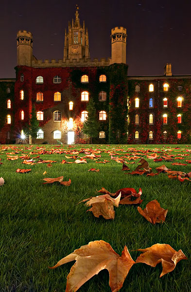 fall leaves in Cripps Court within St. John's College at Cambridge University in England