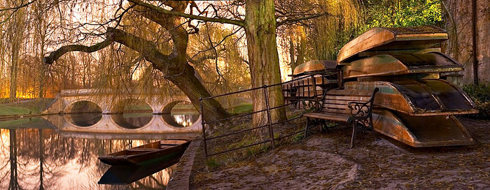 punts lining the River Cam within Trinity College at Cambridge University in England
