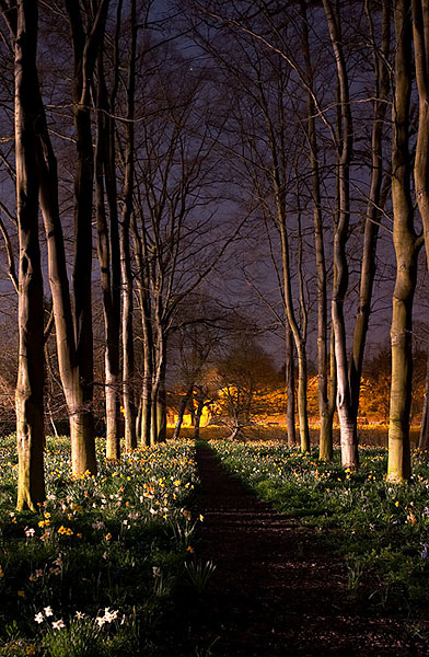 flower path within Queens' College at Cambridge University in England