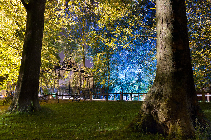 Trinity May Ball Trees - Trinity College, Cambridge University in England
