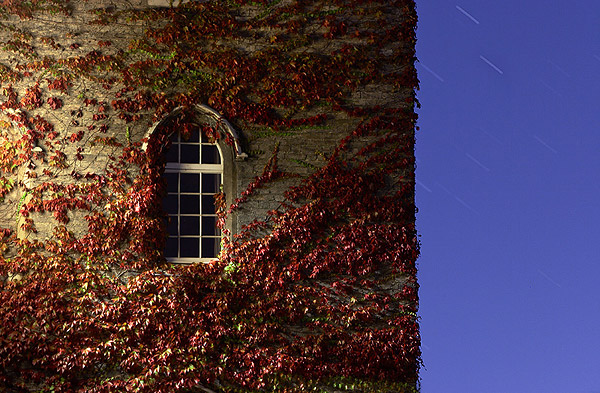 stars and window covered with red vines at Cripps Court, within St. John's College at Cambridge University in England