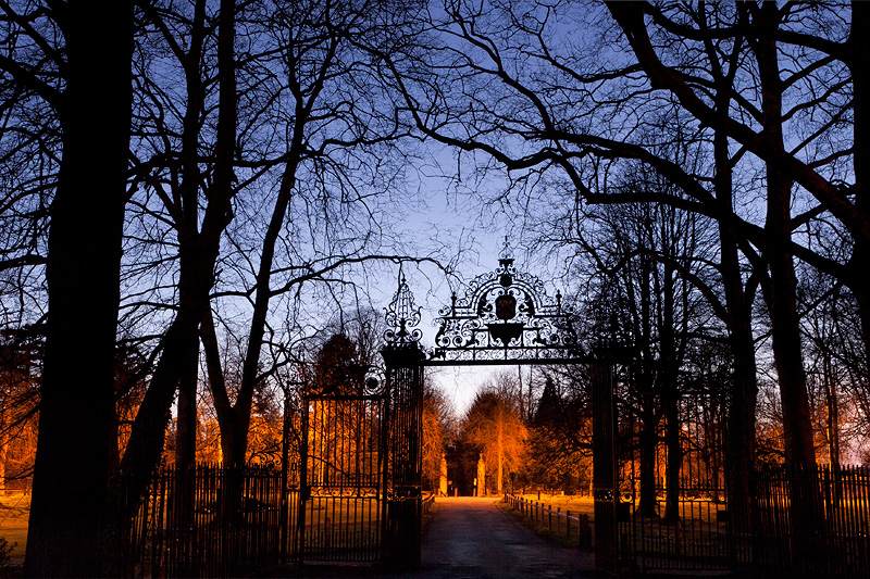 Tree Silhouettes - Trinity College, Cambridge University in England